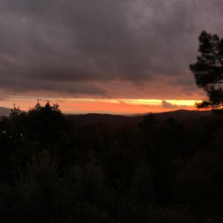 Villaspino Capolona Kültér fotó