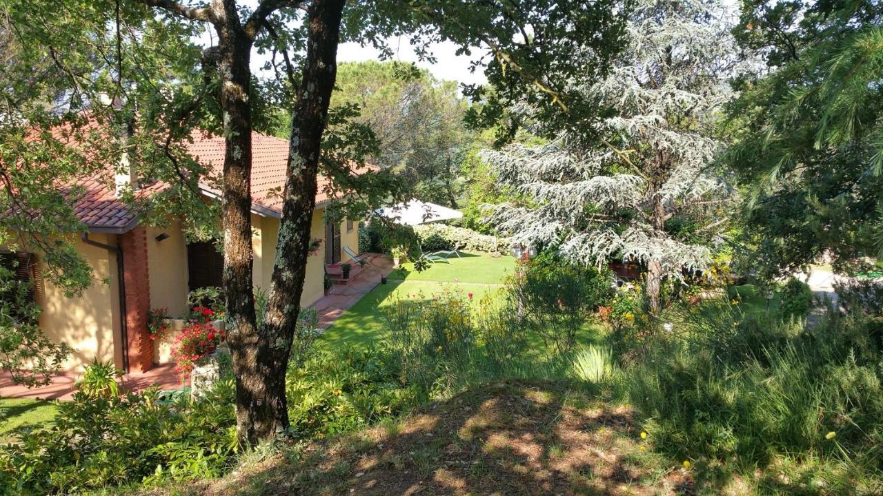 Villaspino Capolona Kültér fotó