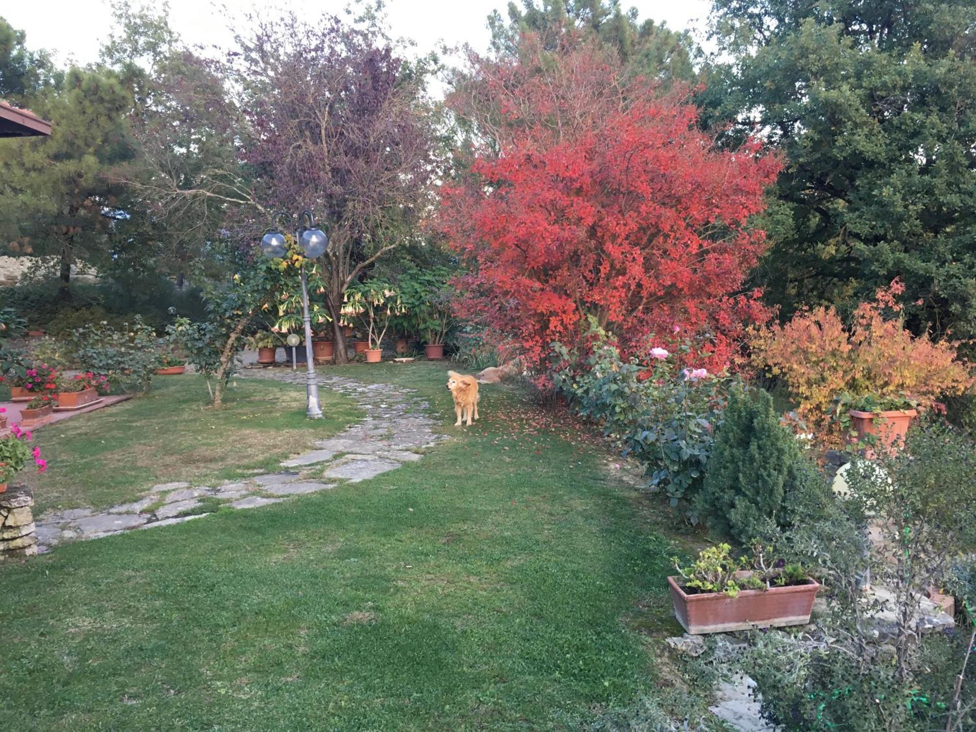 Villaspino Capolona Kültér fotó